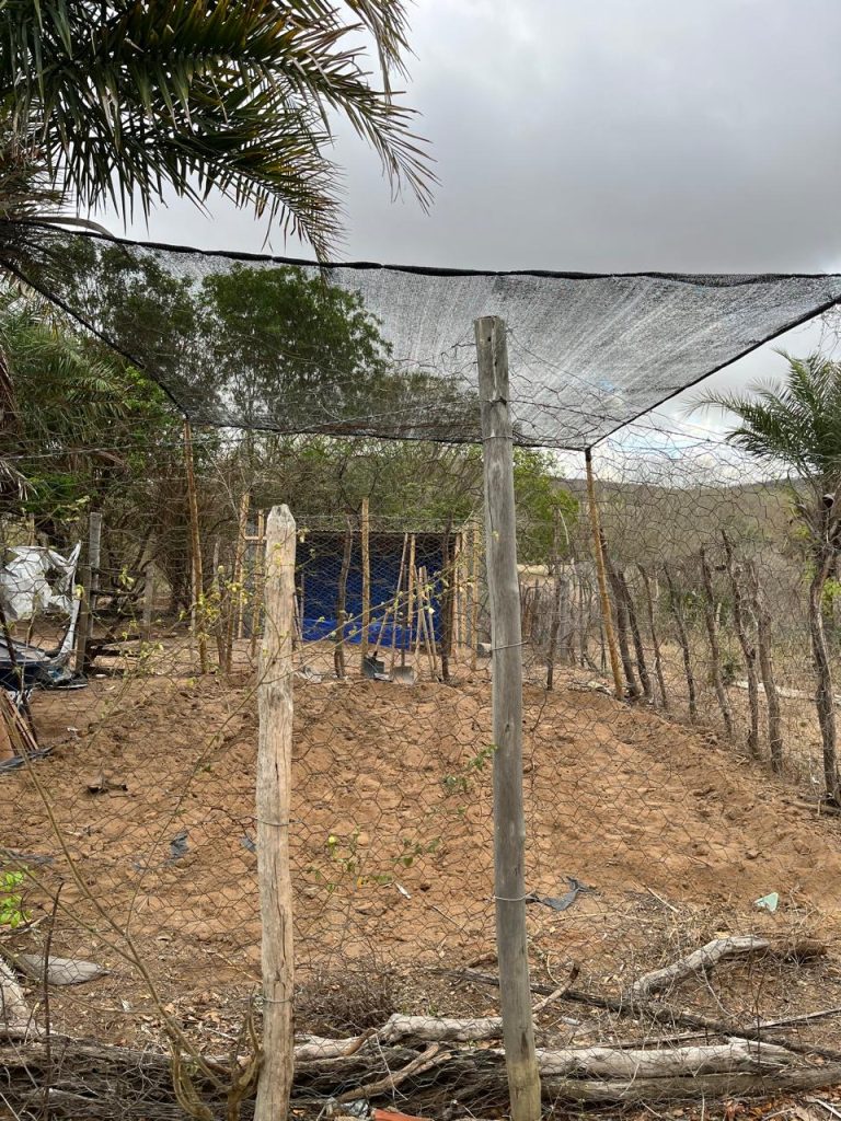 Vereador Jamiltom Fernandes acompanha implantação de quintais produtivos em Ponto Novo.